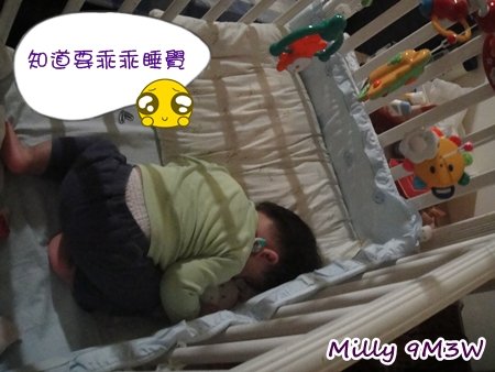 乖乖睡覺.JPG