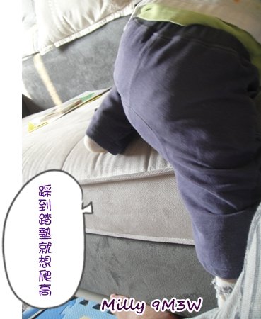 爬高.JPG