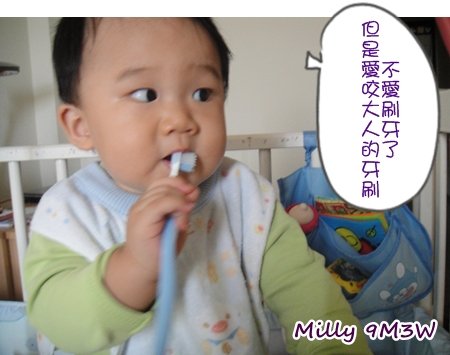 玩牙刷.JPG