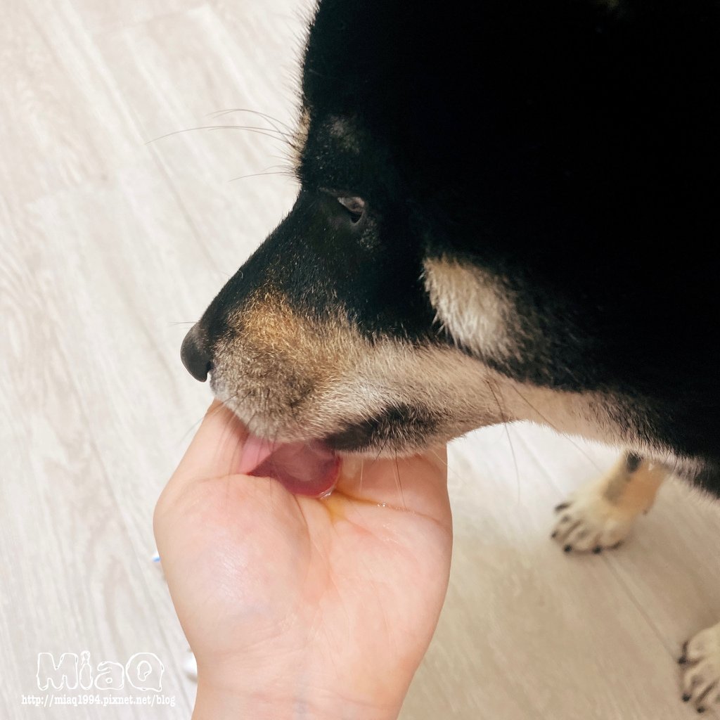 狗狗嘴巴好臭！！口腔清潔做好了嗎？木入森 犬寶固齒麗，還給寵物健康好口氣！ (6).JPG