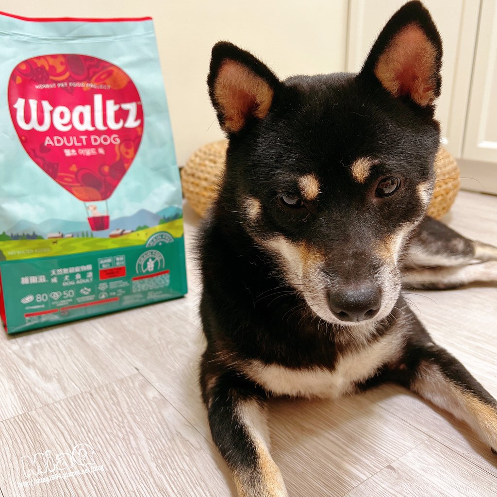 狗狗愛吃的寵物天然飼料推薦「維爾滋 天然無穀寵物糧」｜人用食材等級%26;超級食物好滋味，含有高肉類蛋白質、嗜口性好到不挑嘴！ (14).JPG