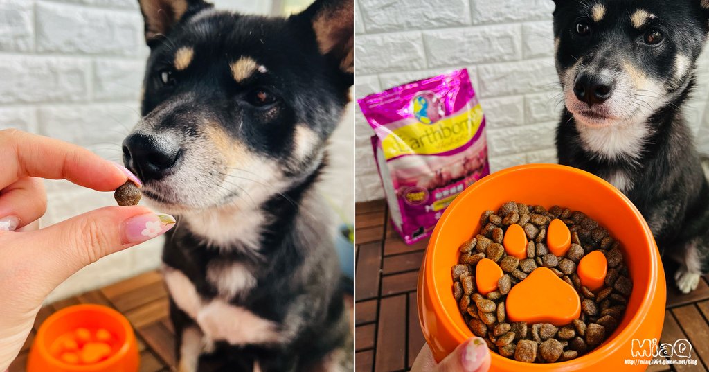 2022飼料推薦「王品寵物 原野優越犬用無穀低敏糧」！高適口性、通過認證的低敏配方寵物飼料開箱｜原野優越評價 (7).JPG