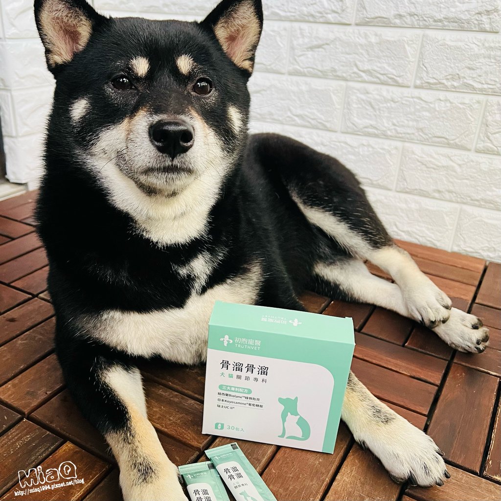 初煦寵醫｜毛孩活動力旺盛，犬貓關節保養不能少！骨溜骨溜 犬貓關節保健粉 (8).JPG