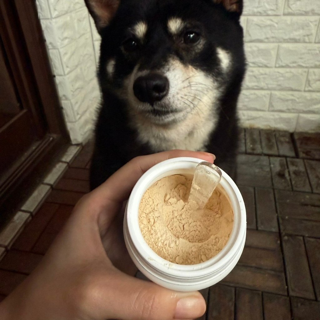 獨家寵物營養粉開箱「萌肽優機能蛋白分享」｜優質蛋白質補充、營養、富含、免疫 (5).jpg