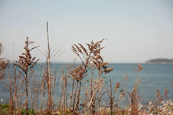 IMG_7393-1