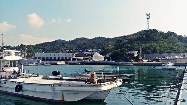 IMAG1760-1.jpg