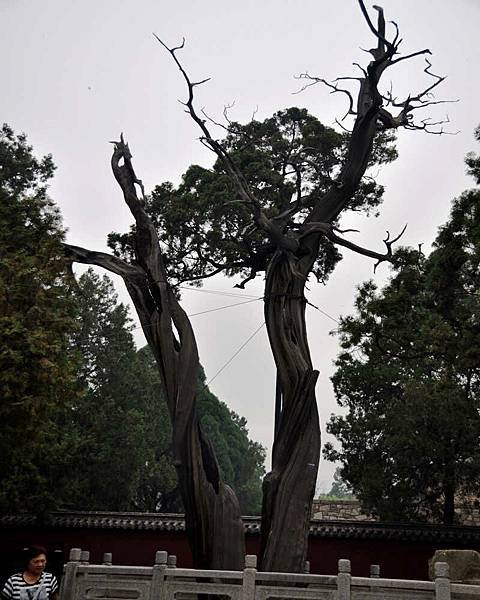 DSC_4751.jpg