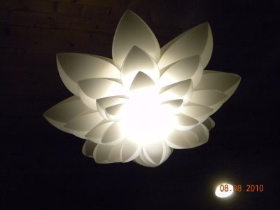 DSCN0493.jpg