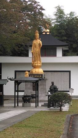IMAG0277.jpg