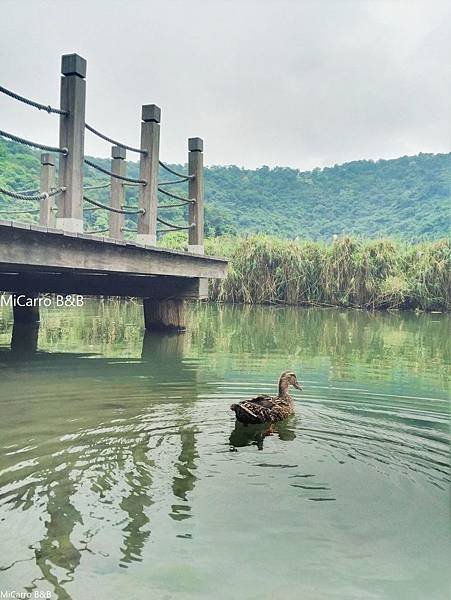 宜蘭 冬山梅花湖 宜蘭旅遊 宜蘭民宿 羅東民宿