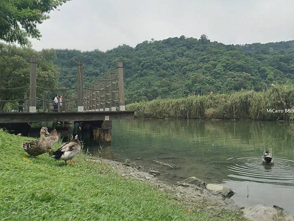 宜蘭 冬山梅花湖 宜蘭旅遊 宜蘭民宿 羅東民宿