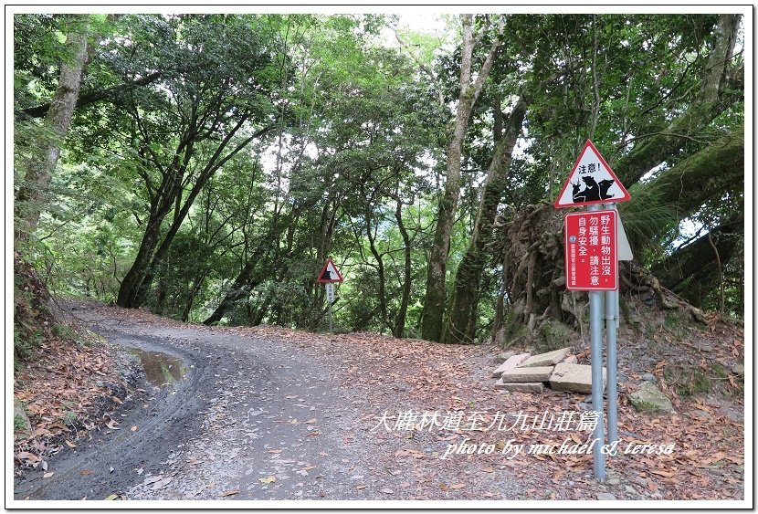 3天2夜加利山百岳行 Day1前記543及大鹿林道東線至九九