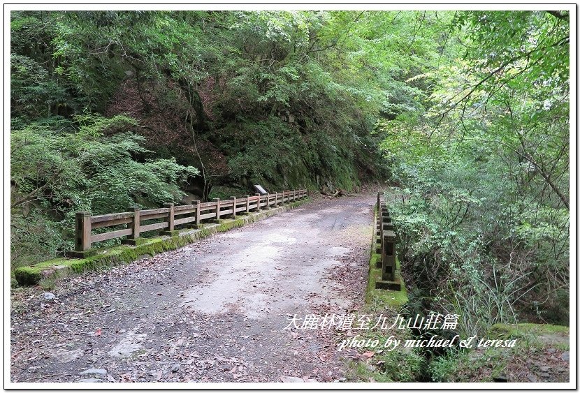 3天2夜加利山百岳行 Day1前記543及大鹿林道東線至九九