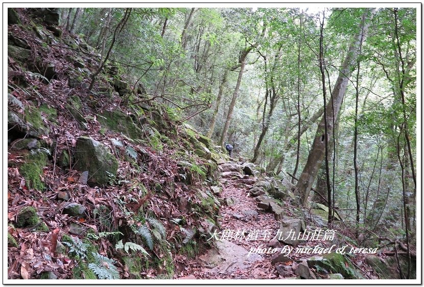 3天2夜加利山百岳行 Day1前記543及大鹿林道東線至九九