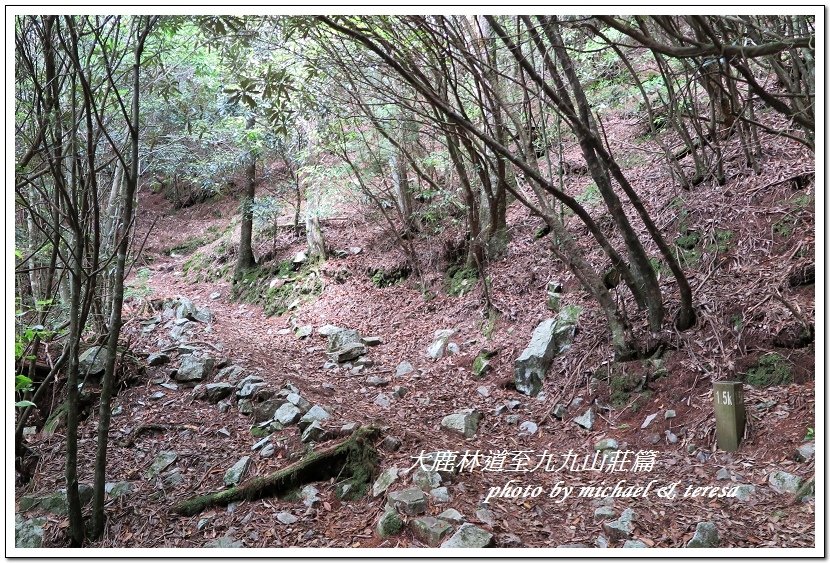 3天2夜加利山百岳行 Day1前記543及大鹿林道東線至九九