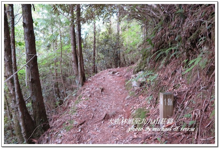 3天2夜加利山百岳行 Day1前記543及大鹿林道東線至九九