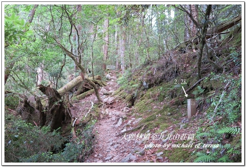 3天2夜加利山百岳行 Day1前記543及大鹿林道東線至九九