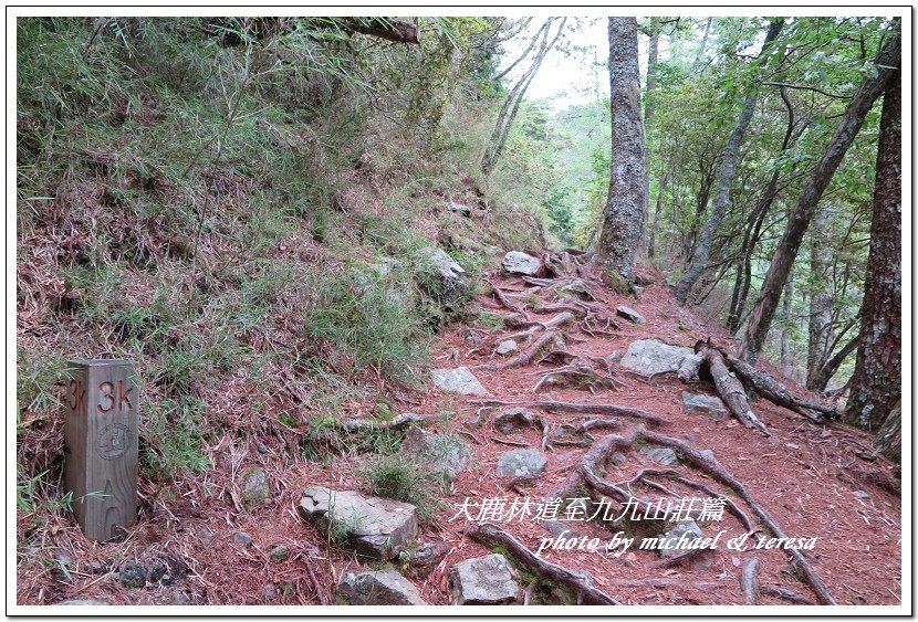 3天2夜加利山百岳行 Day1前記543及大鹿林道東線至九九