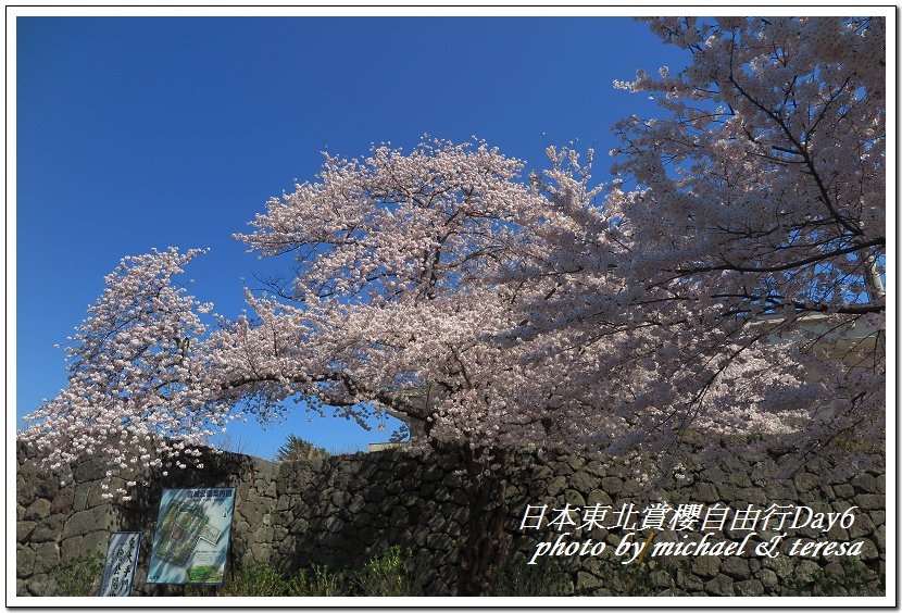 IMG_4570.jpg - 108.04.18日本賞櫻Day6
