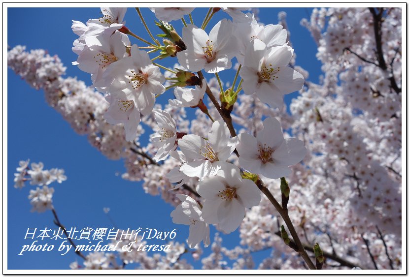 IMG_4627-2.jpg - 108.04.18日本賞櫻Day6