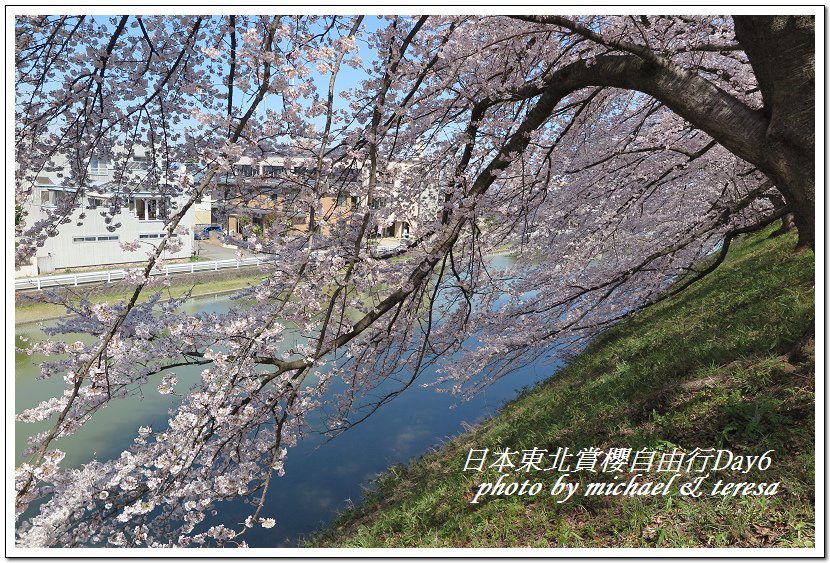 IMG_4643.jpg - 108.04.18日本賞櫻Day6