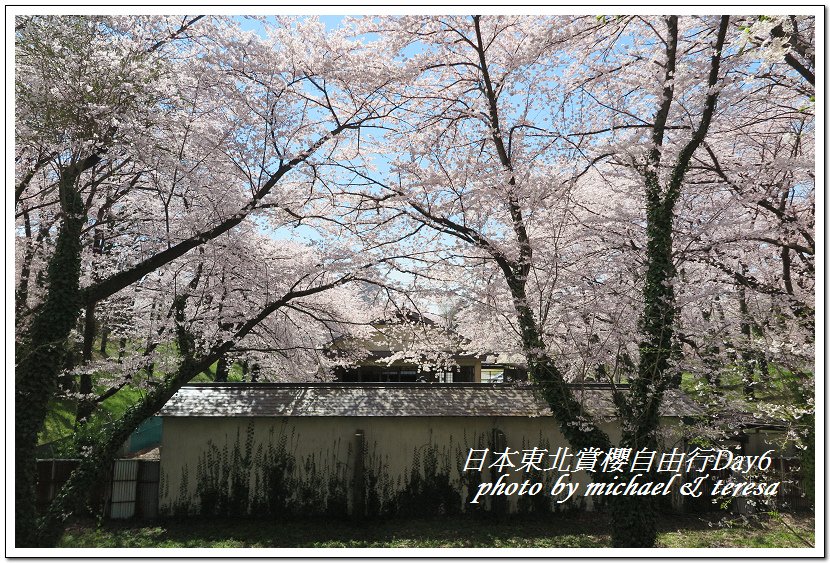 IMG_4686.jpg - 108.04.18日本賞櫻Day6