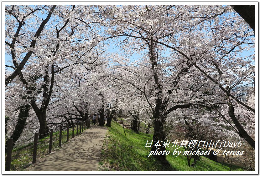 IMG_4967.jpg - 108.04.18日本賞櫻Day6