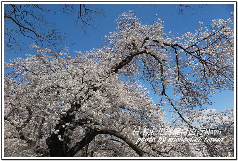IMG_4975.jpg - 108.04.18日本賞櫻Day6