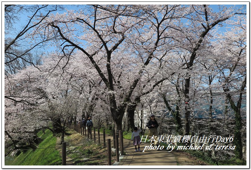 IMG_4977.jpg - 108.04.18日本賞櫻Day6
