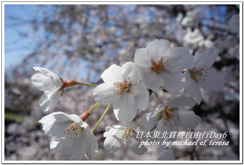 IMG_4987-2.jpg - 108.04.18日本賞櫻Day6