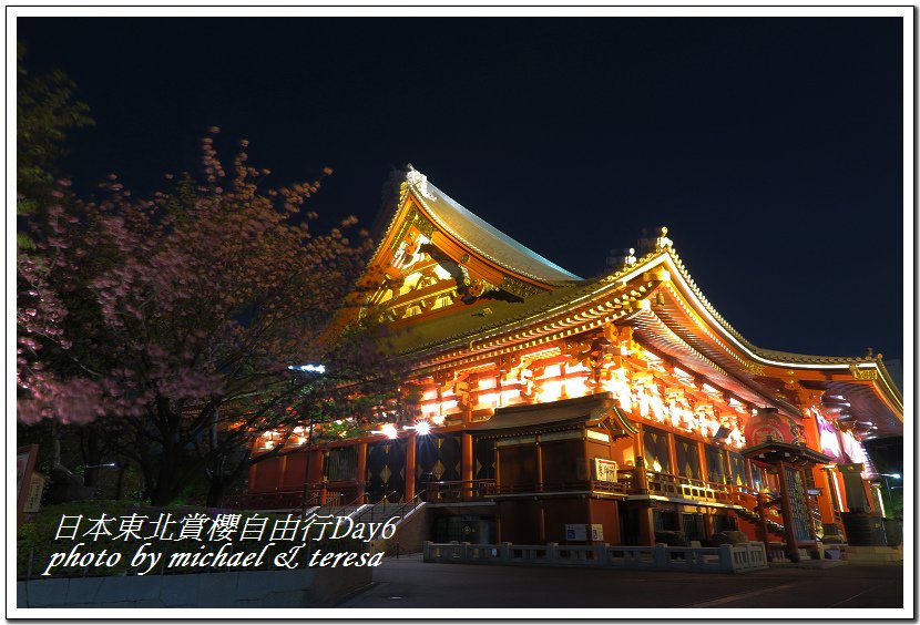 IMG_5130.jpg - 108.04.18日本賞櫻Day6