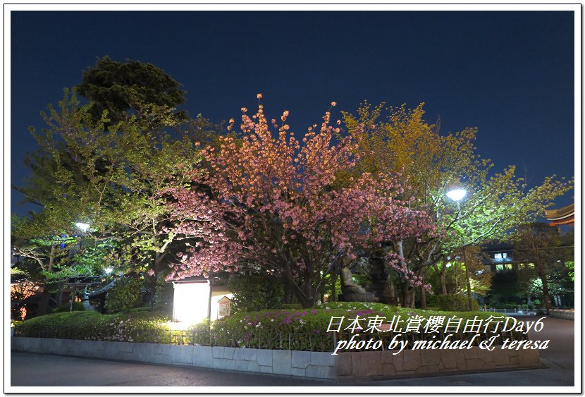 IMG_5128.jpg - 108.04.18日本賞櫻Day6
