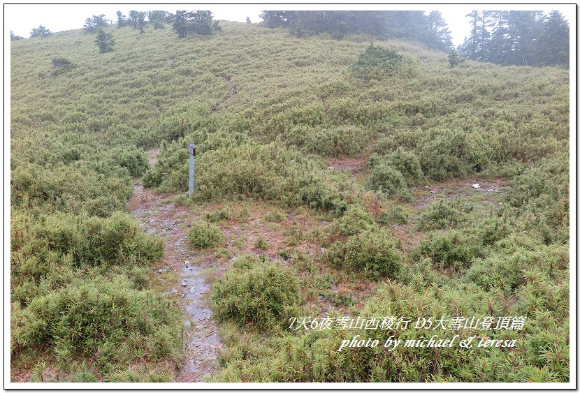 IMG_1964.jpg - 107.08.28雪山西稜D5大雪山登頂篇