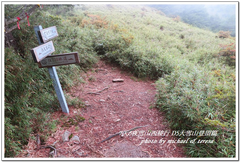 IMG_2018.jpg - 107.08.28雪山西稜D5大雪山登頂篇