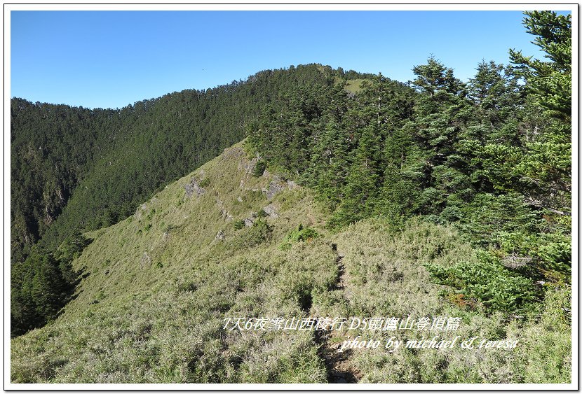 IMG_1587.jpg - 107.07.28雪山西稜D5頭鷹山登頂篇