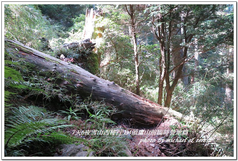 IMG_1241.jpg - 107.07.27雪山西稜D4頭鷹山前臨時營地篇