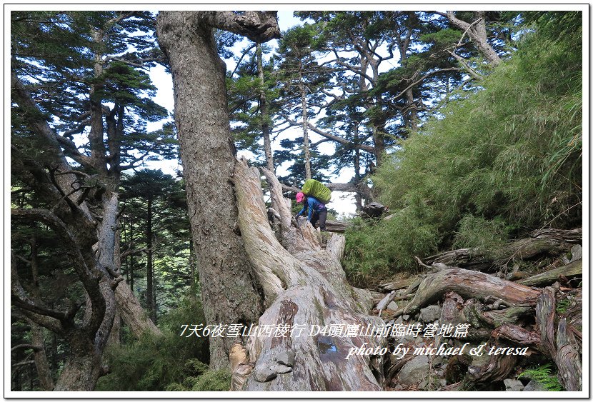 IMG_1274.jpg - 107.07.27雪山西稜D4頭鷹山前臨時營地篇