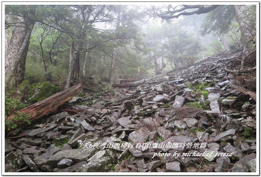 IMG_1424.jpg - 107.07.27雪山西稜D4頭鷹山前臨時營地篇