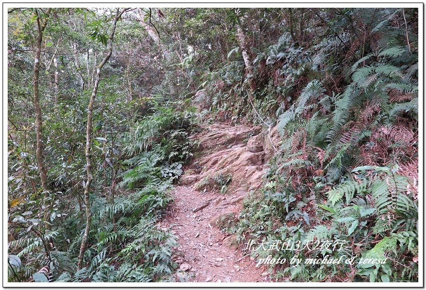 北大武山3天2夜挑戰行 Day1新登山口至檜谷山莊篇