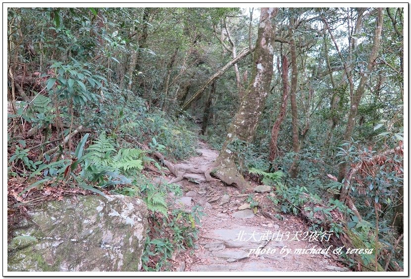 北大武山3天2夜挑戰行 Day1新登山口至檜谷山莊篇