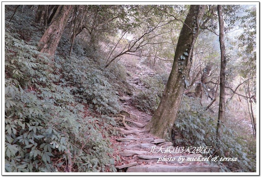 北大武山3天2夜挑戰行 Day1新登山口至檜谷山莊篇