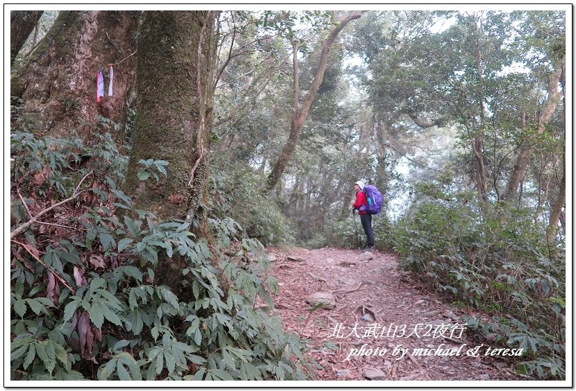 北大武山3天2夜挑戰行 Day1新登山口至檜谷山莊篇