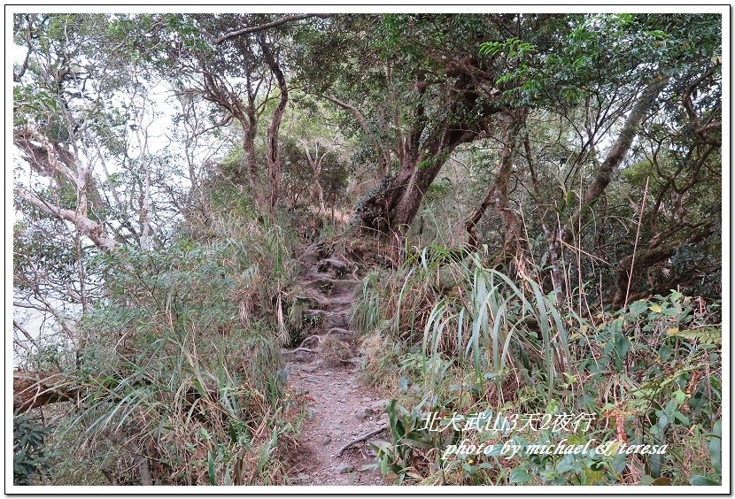 北大武山3天2夜挑戰行 Day1新登山口至檜谷山莊篇