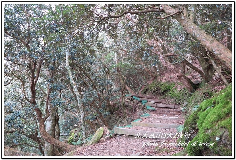 北大武山3天2夜挑戰行 Day1新登山口至檜谷山莊篇