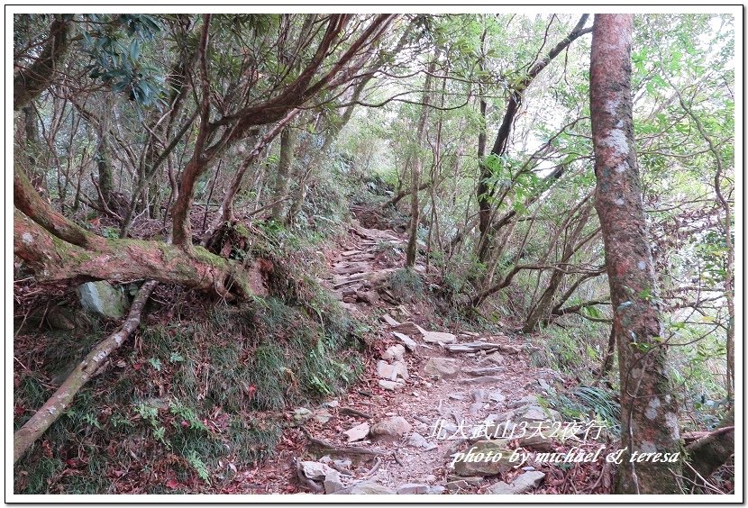 北大武山3天2夜挑戰行 Day1新登山口至檜谷山莊篇