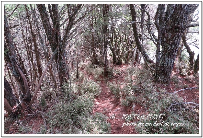 南二段9天8夜百岳行 Day6南大水窟山及大水窟山屋篇