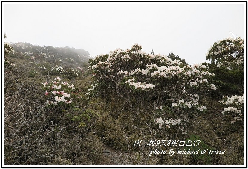 南二段9天8夜百岳行 Day6南大水窟山及大水窟山屋篇