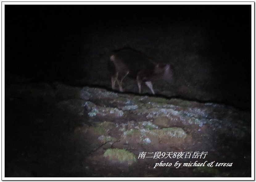 南二段9天8夜百岳行 Day6南大水窟山及大水窟山屋篇