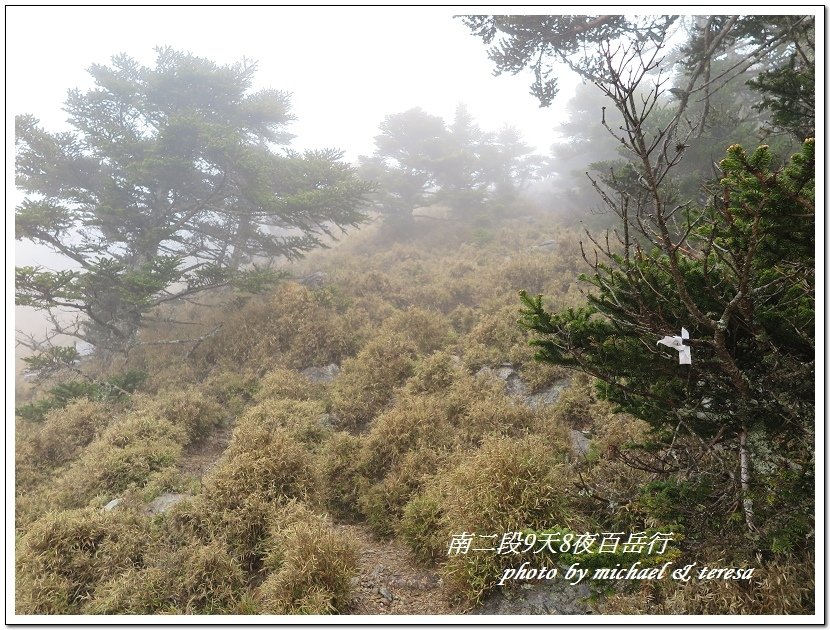 南二段9天8夜百岳行 Day4我們的第40座百岳NO19雲峰