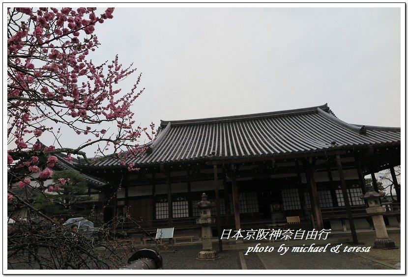 日本京阪神奈8天7夜自由行 Day4  平等院、宇治神社、宇